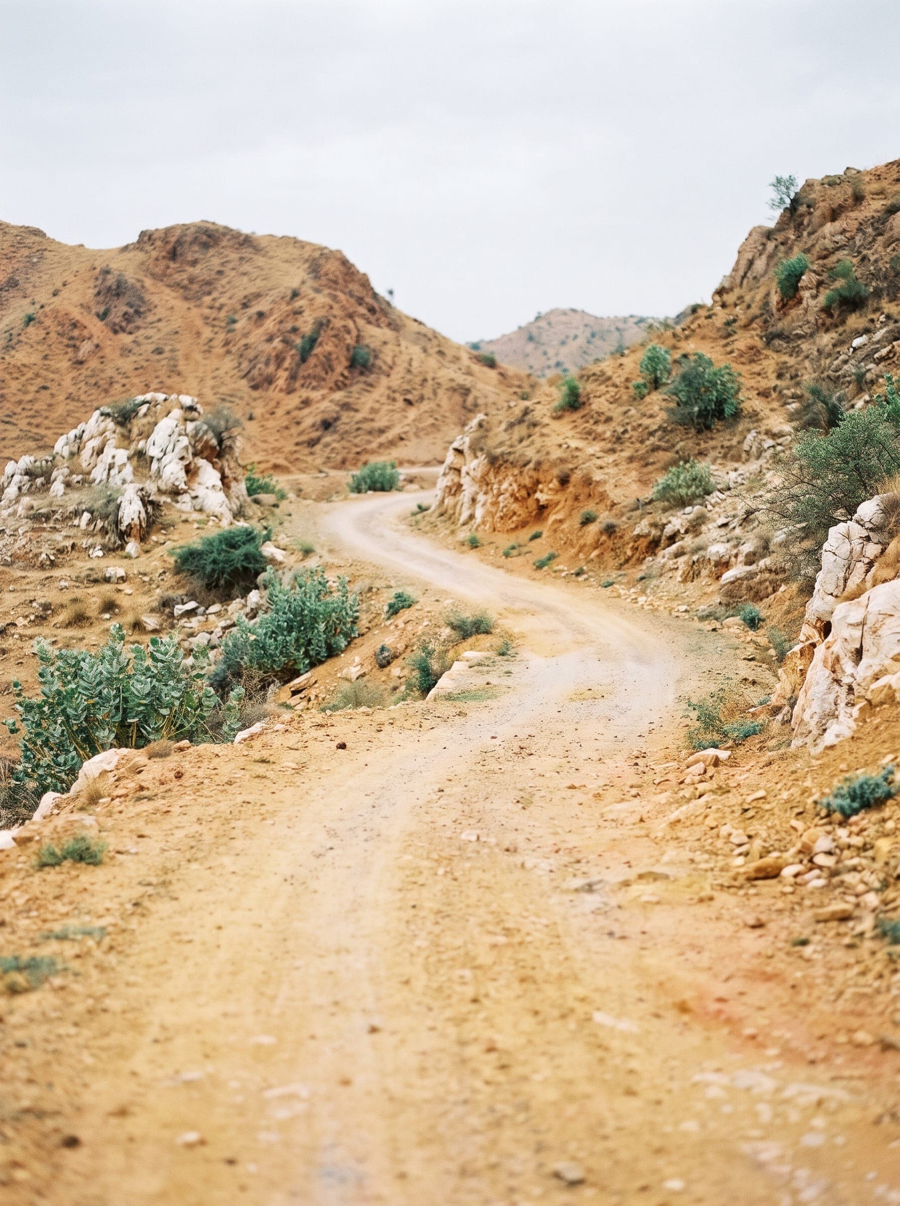 The yellow earth and hills of the Haldighati pass